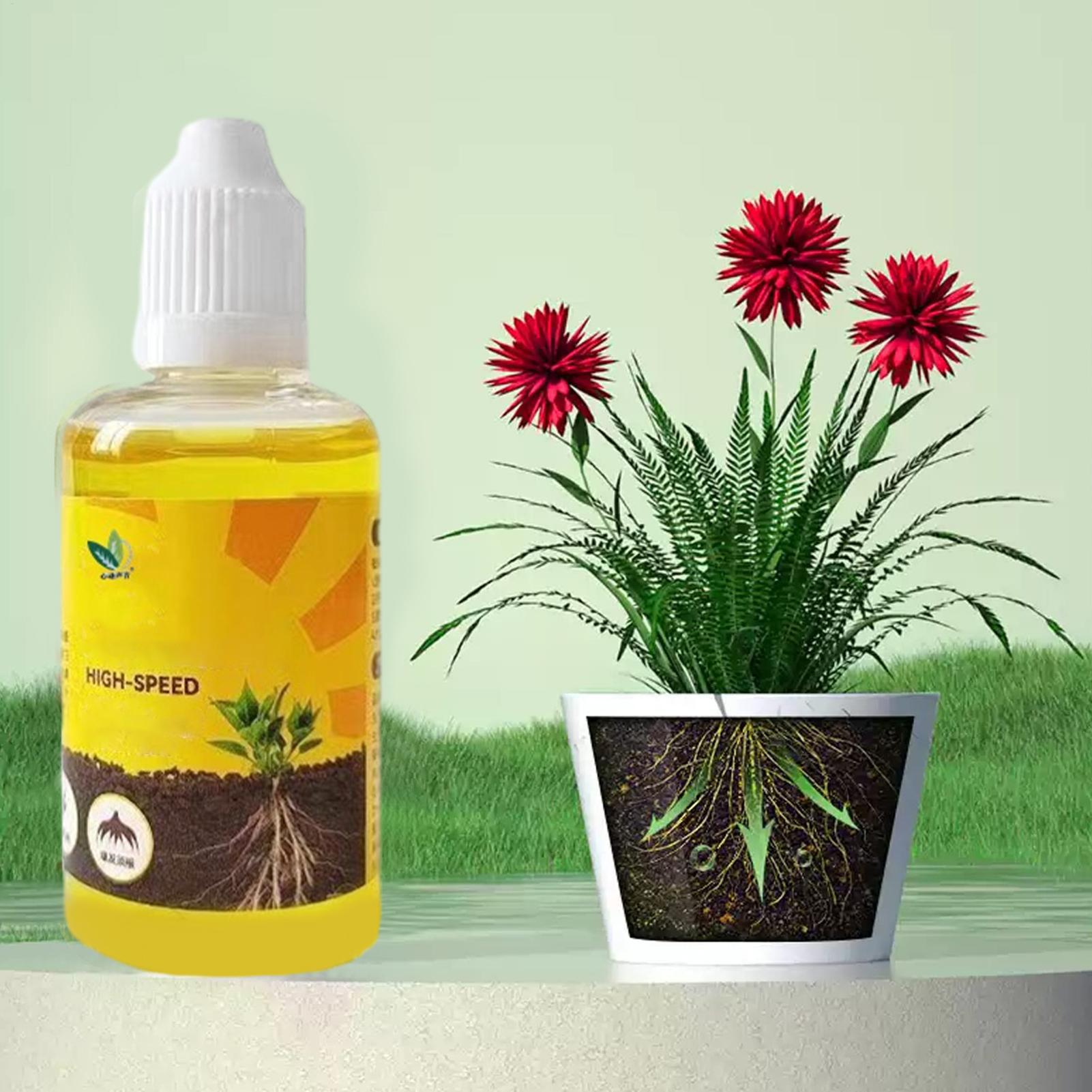 Vloeibare plantwortelstimulato - Root Stimulator Liquid recensie en prijs