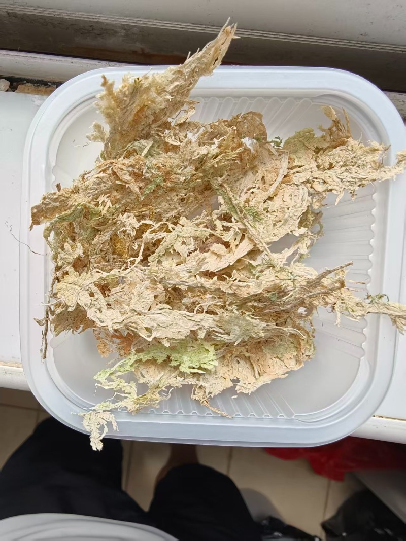 Premium Sphagnummos voor Orchi - Sphagnum Moss Dry recensie en prijs